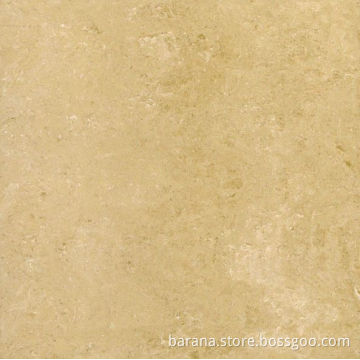 Porcelain Tile (6134P)